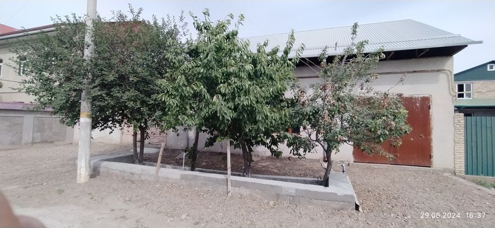 Hovli sotiladi6 sotix