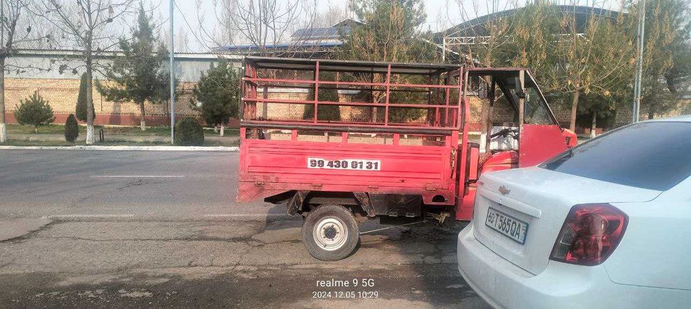 Муравей-самосвал, 2018 йил