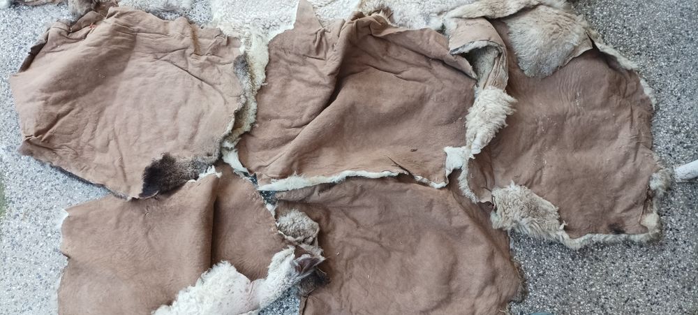 Щавени и боядисани агнешки кожи