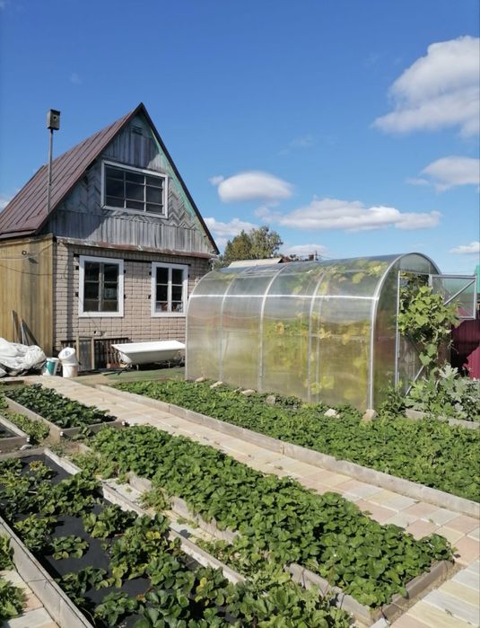 Продам дачу СТ Ромашка 40 линия