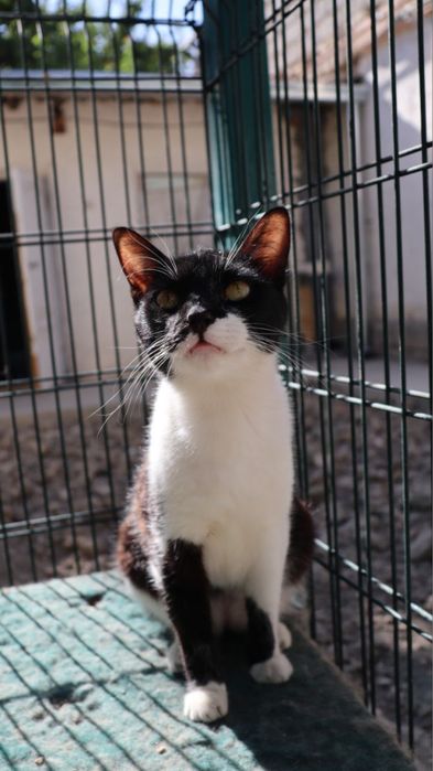 Милый мальчик ищет любящую семью!