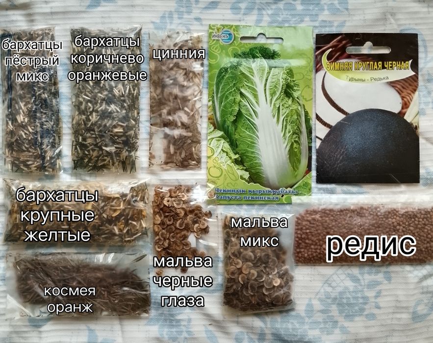 Семена 10 видов (редис, редька, разные цветы)