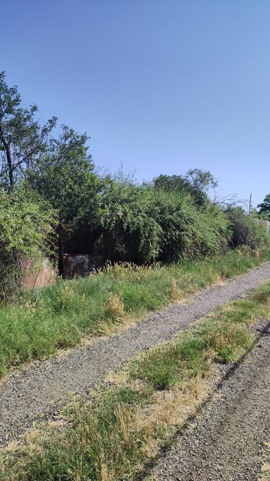 Продава се Парцел в Варна, Чайка - 1230 кв.м за 9 €/кв.м - Снимка #8