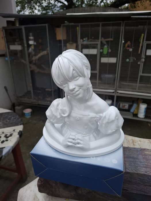 Sculptura, gravura reclame luminoase printare 3d