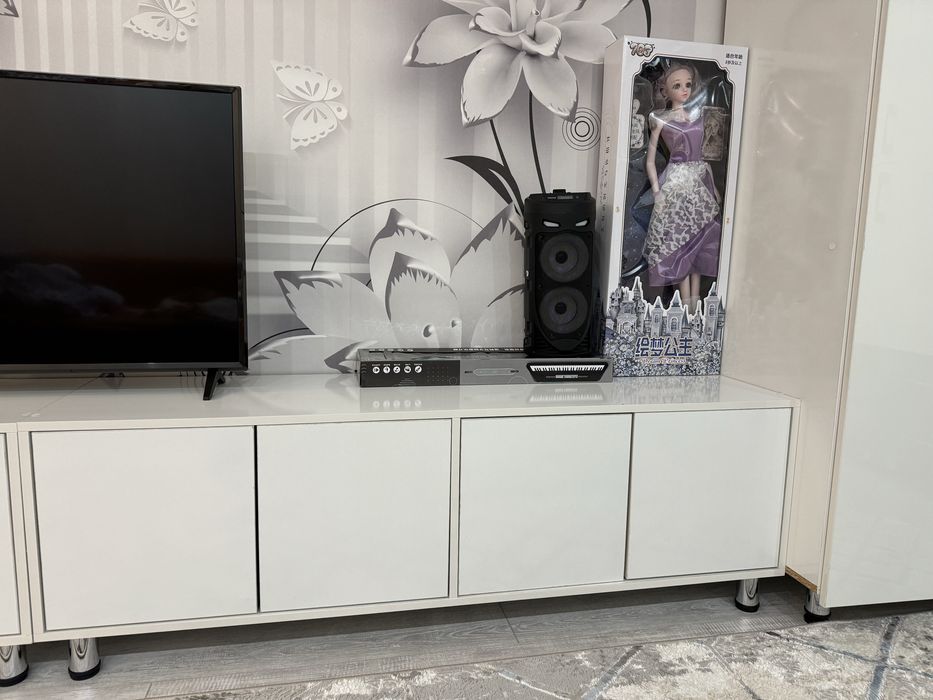 ТВ тумба с распашными дверцами