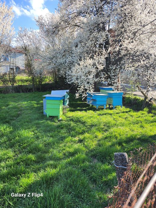 Кошер втора употреба