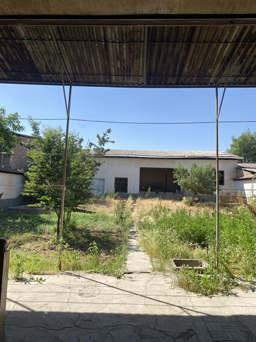 Nazarbek (repromda) uy sotiladi 8sotix