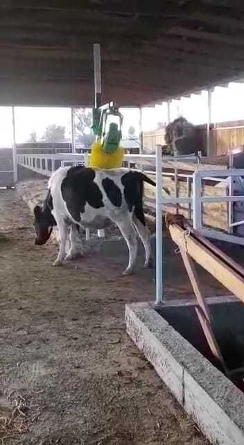 Авто Поилка для КРС и МРС