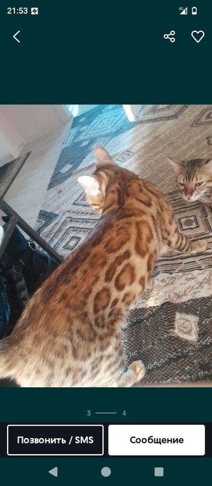 Жер участок Уй салуга