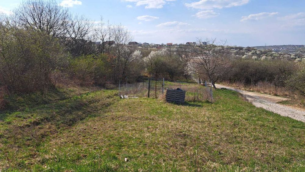 Vand teren intravilan zona Gheorghe Doja Oradea