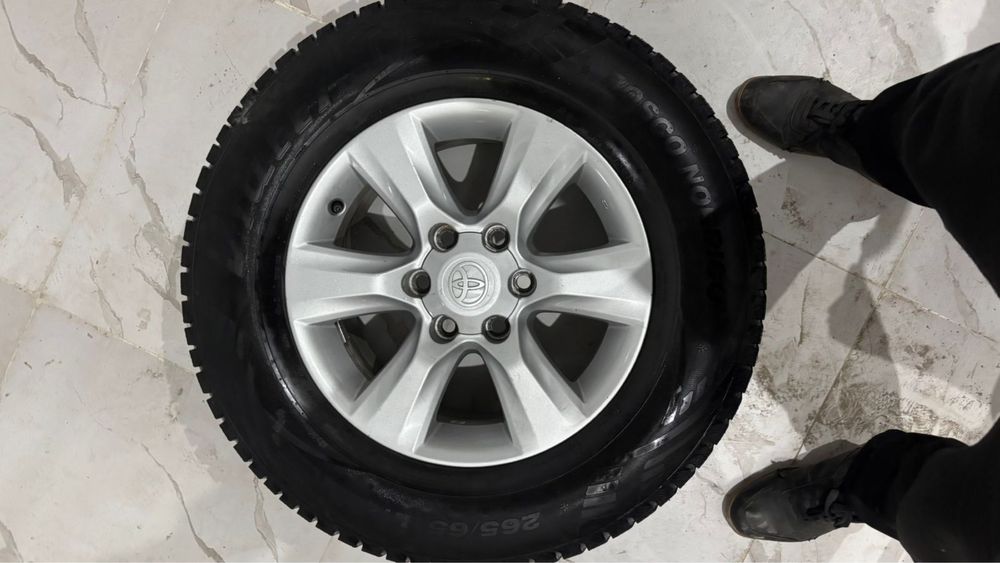 Зимние шины шипованные