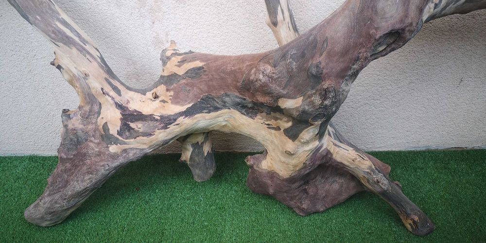 Корен за аквариум