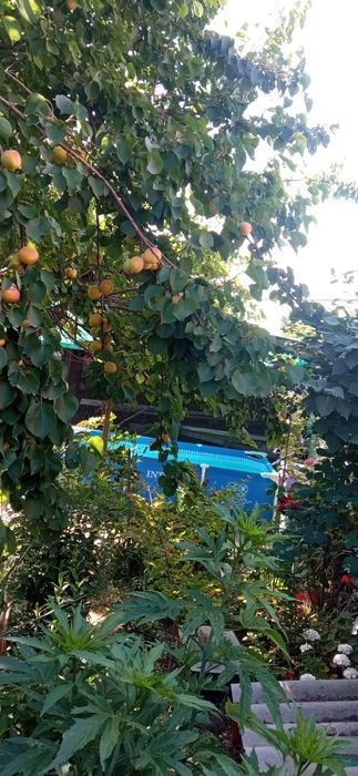 Продается свой дом в Кибрае