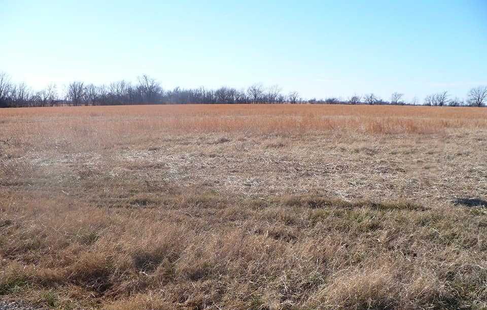 Vand teren extravilan la intrare in Beius, zona in dezvoltare, 5427 mp