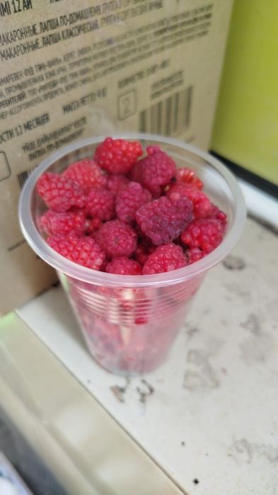 Малина дачная свежая
