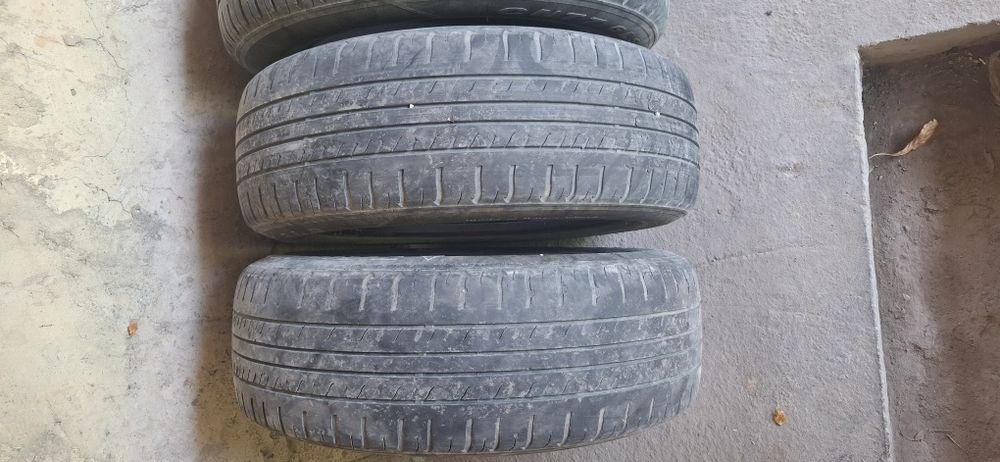 летние шины triangle