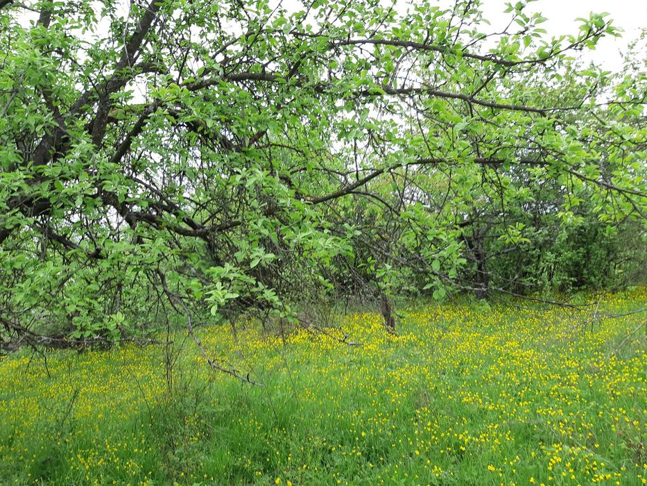 Продавам къща с парцел
с. Звезда, Търговище