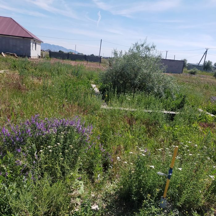 Участок п. Ынтымақ