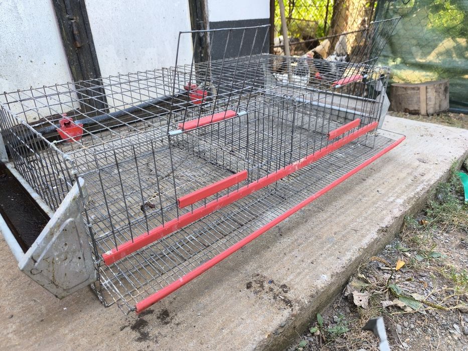 Vând cușcă prepelițe