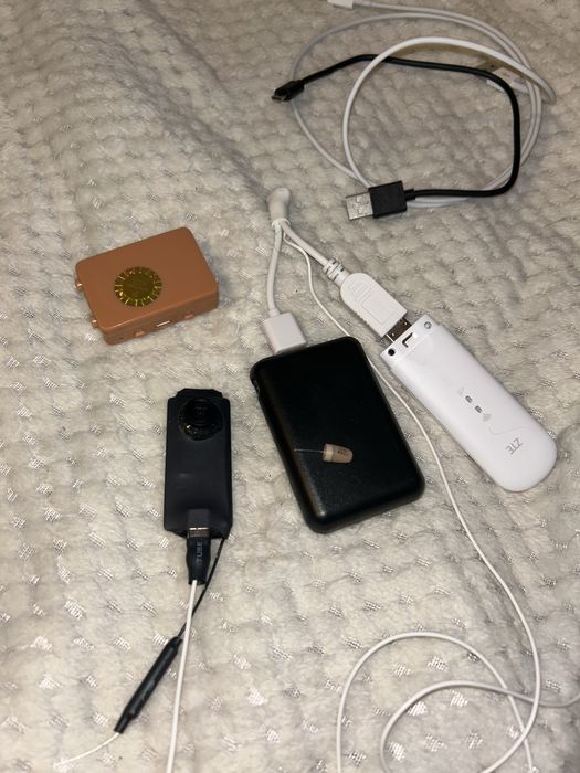 Cascuta japoneza + camera nasture