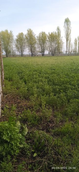 Ер учаска  сотилади 9500 $