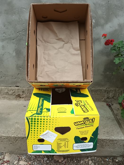 Baxuri de  banane