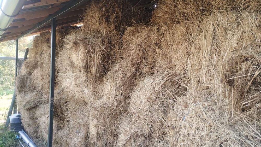 Baloți de lucernă dreptunghiulari