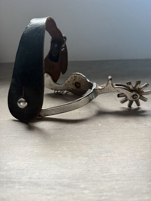 Pinten calarie , 1 buc