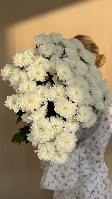 Кустовая хризантема(живая)