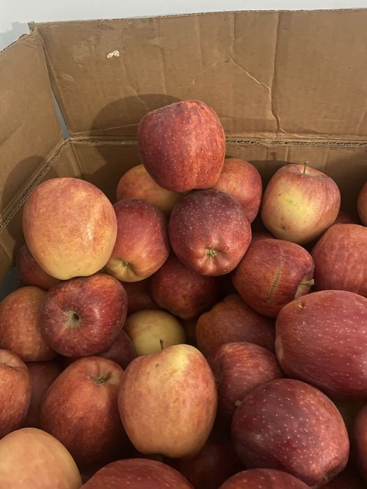 Продам сад плодоносящий