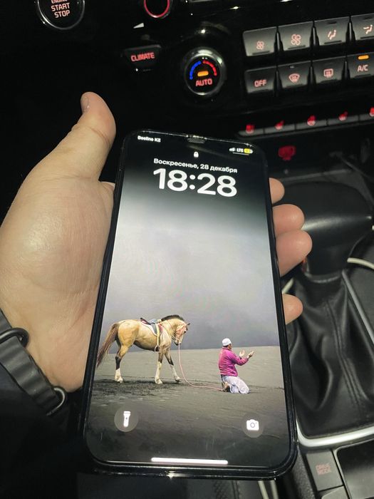 Iphone 12 pro max 256 gb