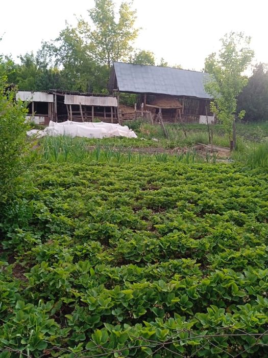 Продам дом, село Токжайлау