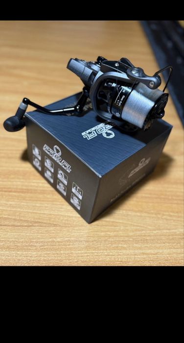 Set lansete feeder