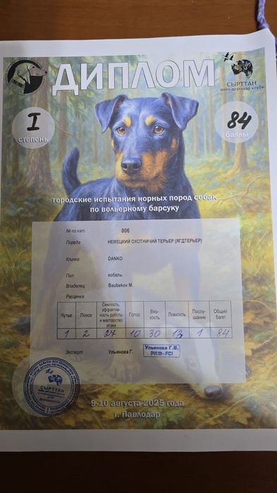 Вязка немецкий ягдтерьр