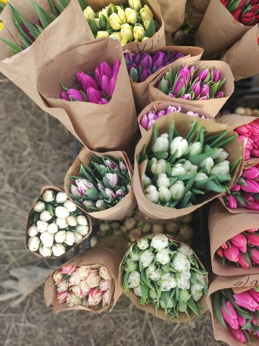 Букет 101 тюльпан новый