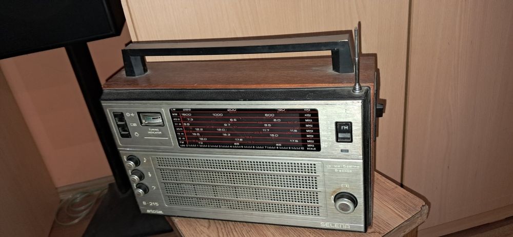 Приёмник Белорусский Selena