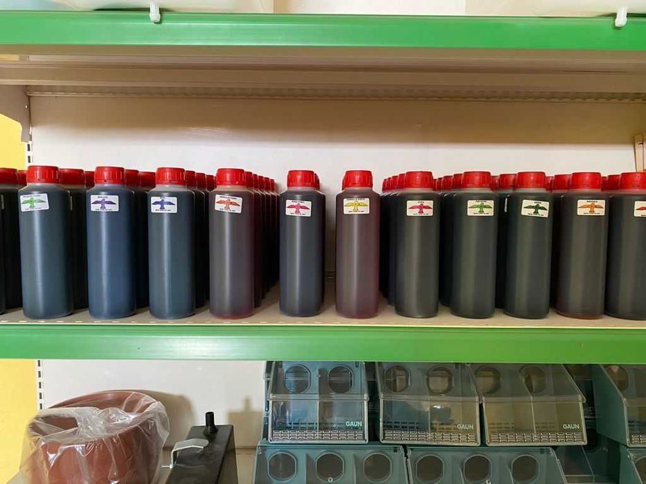 Боя за Гълъби боядисване на гълъби за състезание