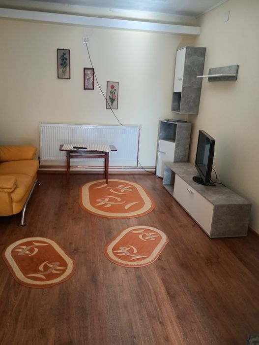 Regim hotelier Chișineu cris