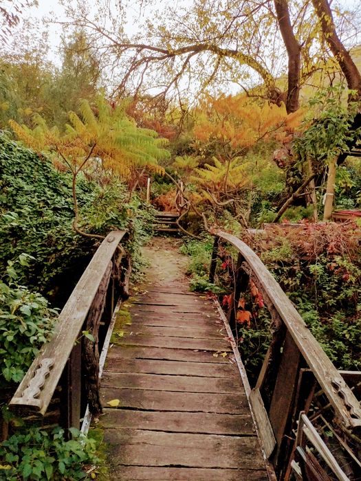 Дава се под наем Къща в с. Тученица, Област Плевен - 240 кв.м за 331.5 € - Снимка #1