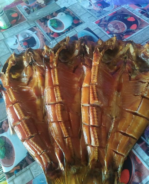 Kapchoni baliq sotladi