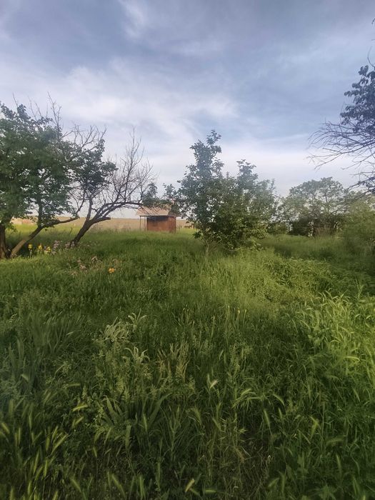 Продам дачу северо-западнее пос.Байсерке(30-й км.).Улица Асар.