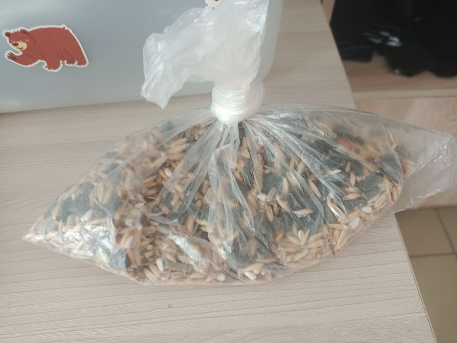 Продам хомяка джунгарика