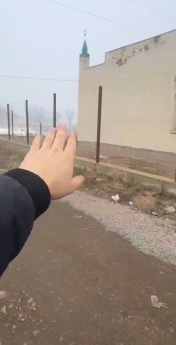 Арай ауылынан жер сатылымға шықты