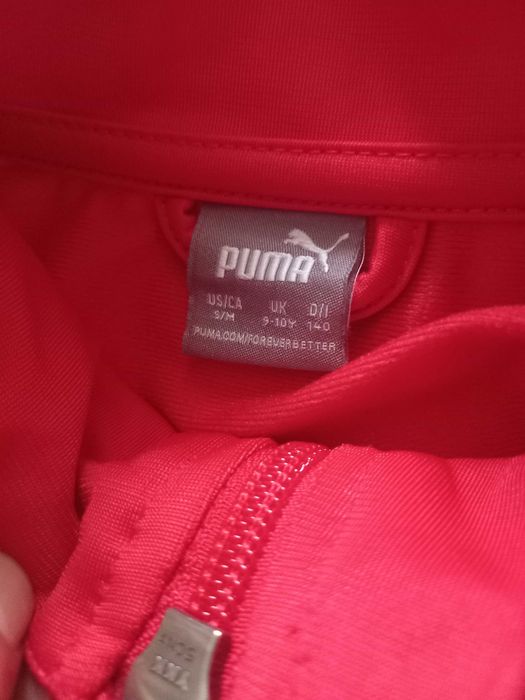Trening original puma