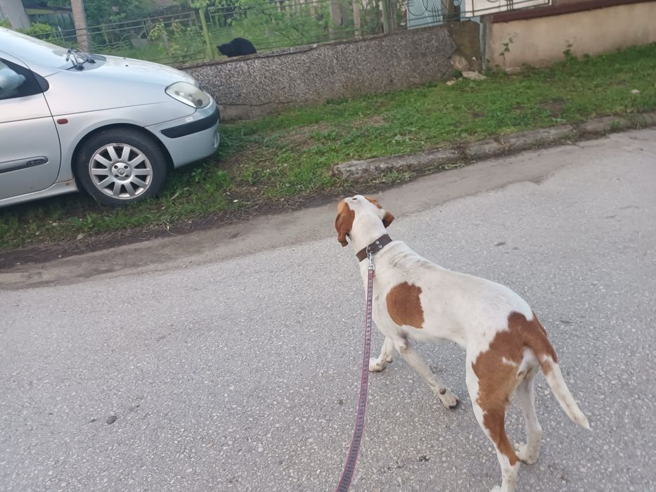 Откраднат/изгубен