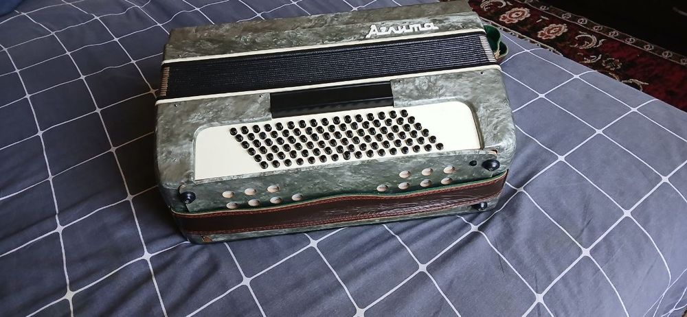 Аккордеон" аэлита"