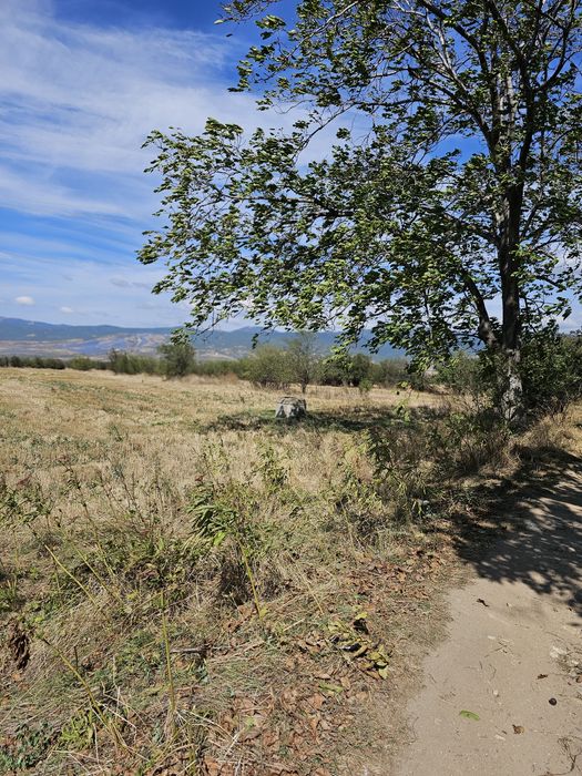 Продава се Парцел в Сапарева баня - 3096 кв.м за 7 €/кв.м - Снимка #5