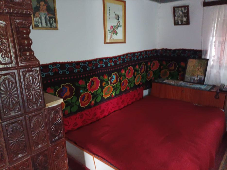 Casă bătrânească cu teren 3.500 mp, vie, pomi și utilități – ideală pe