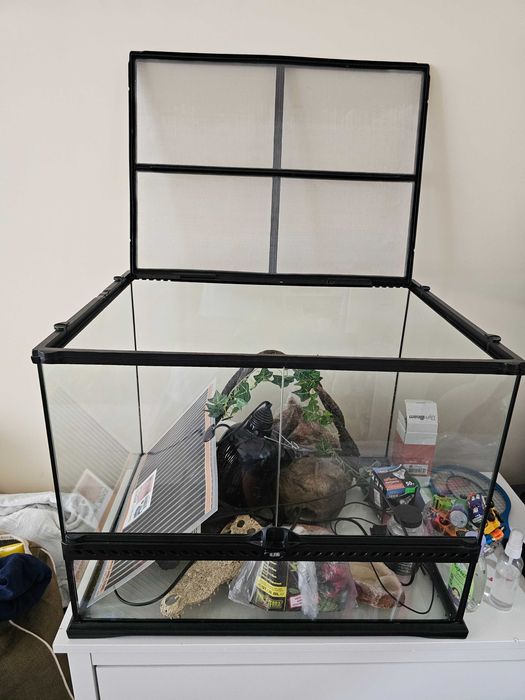 Терариум за влечуги