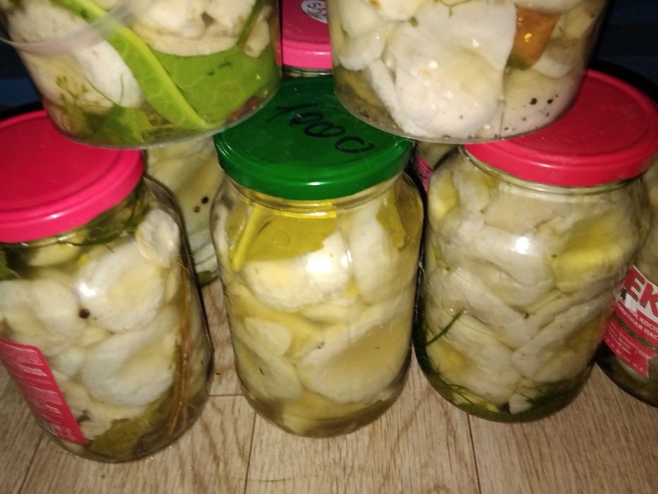 Грузди соленые с чесноком и укропом